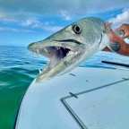key-west-barracuda.JPG