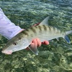 key-west-bonefishing.jpeg