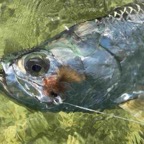keys-fly-fishing-charter.jpeg