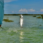 light-tackle-flats-fishing.jpg