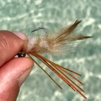 saltwater-fly-fishing.jpeg
