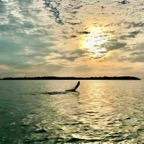 sunrise-fly-fishing.JPG